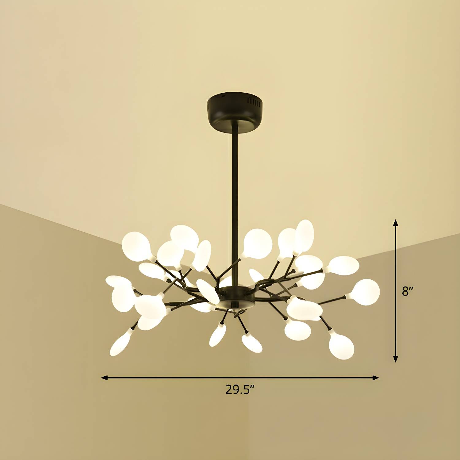 Imported image f057535960f5 2282618.jpg