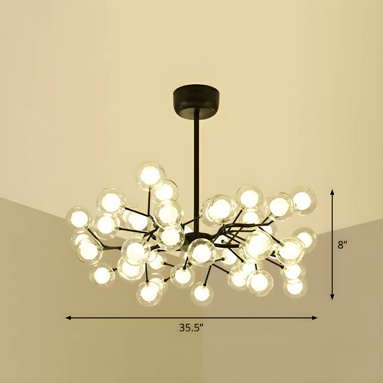 Imported image d0313ac780a5 2282619.jpg