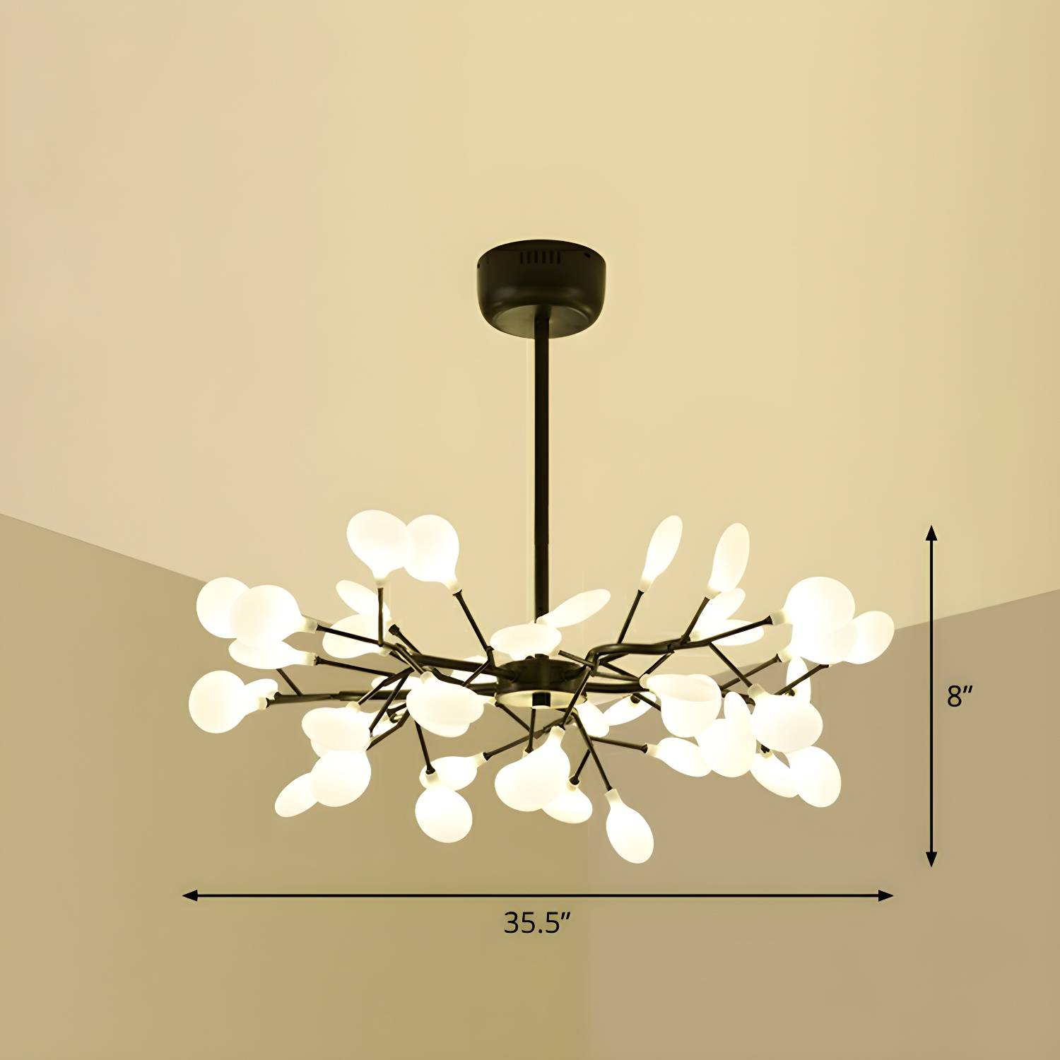 Imported image 8fe43bcb7574 2282622.jpg