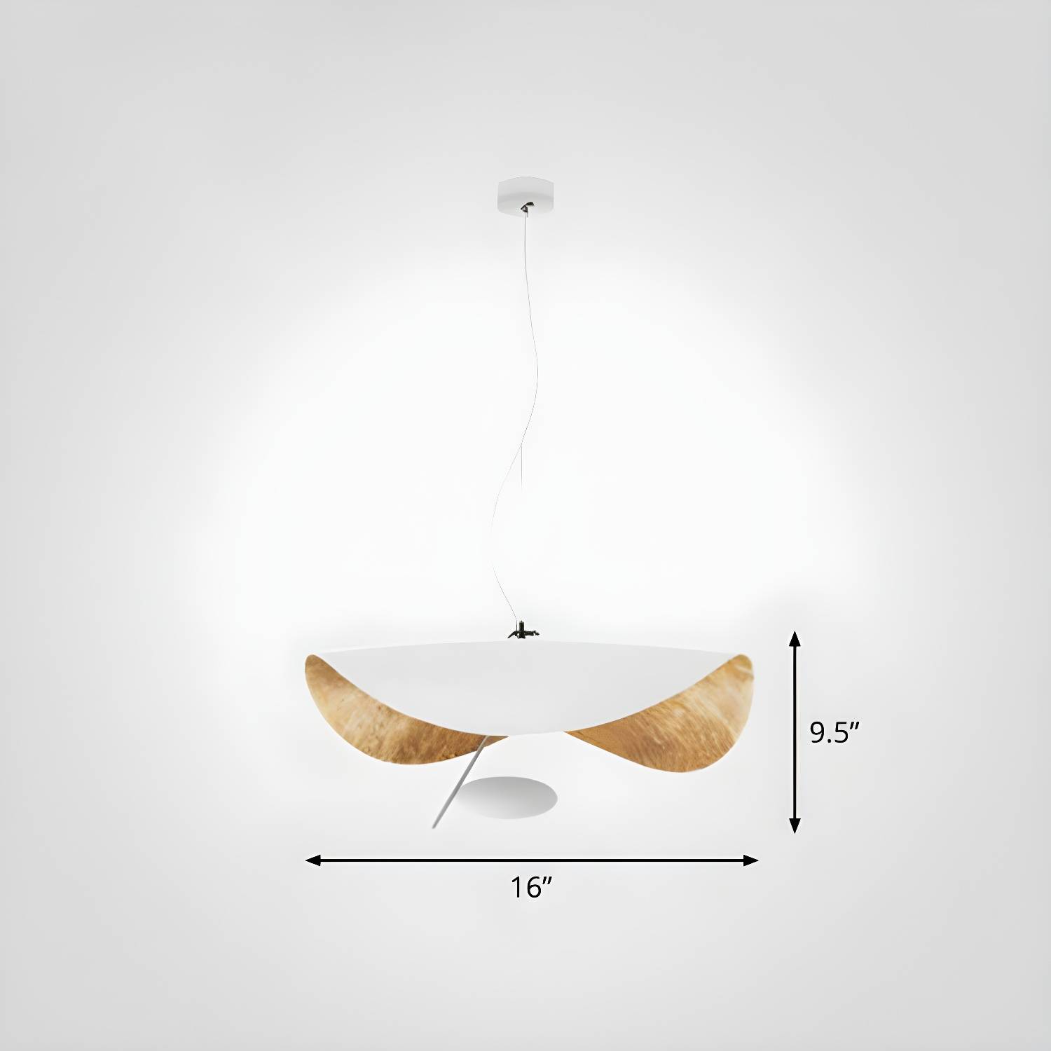 Imported image 4588e413f6ee 2283220.jpg
