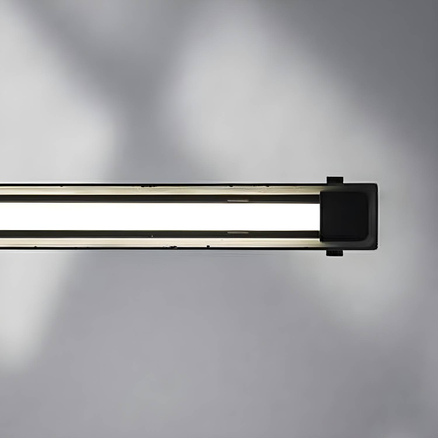 Imported image 8636da934398 2293766.jpg