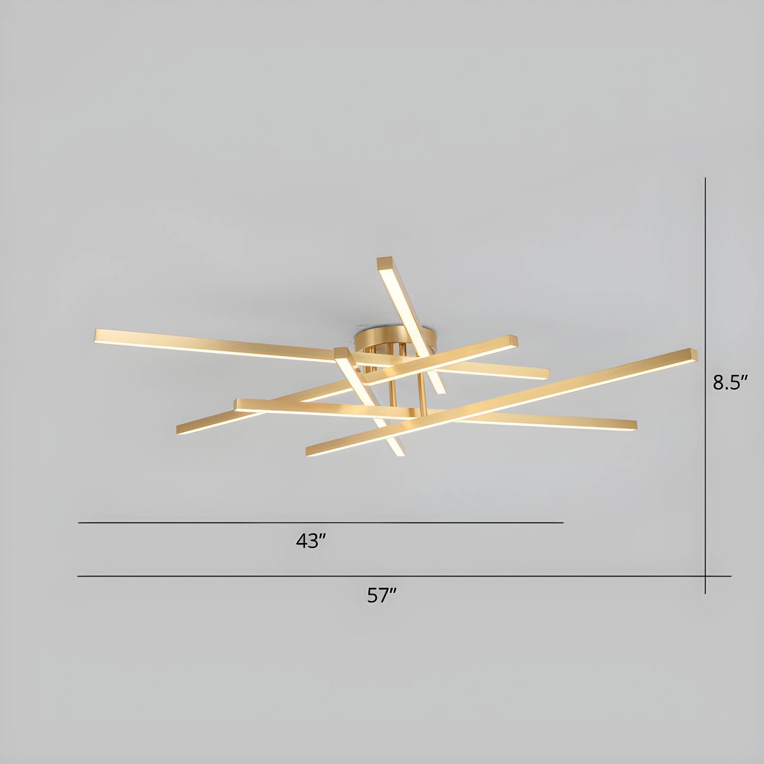 Imported image b075476d2e69 2293896.jpg