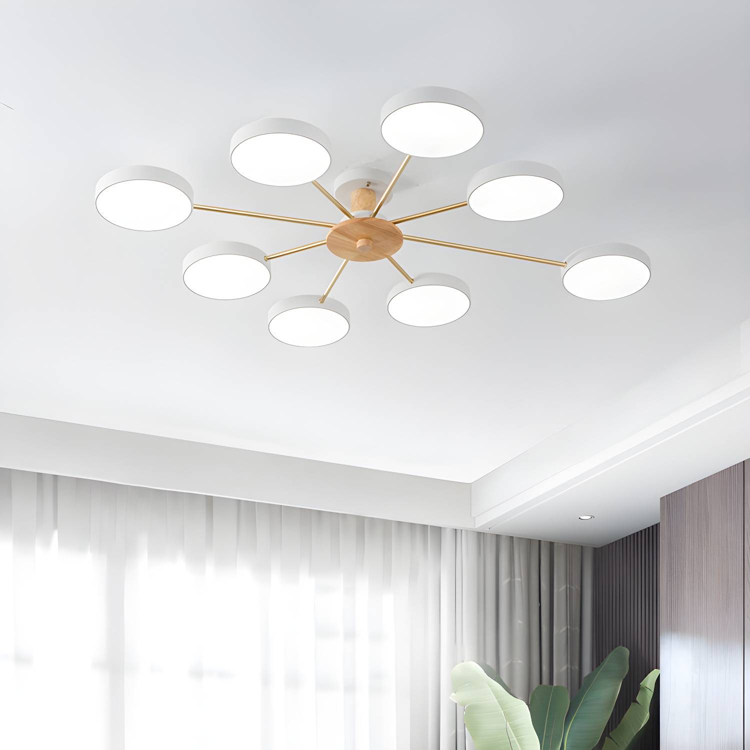Imported image 83f6972b9a8d 2307522.jpg