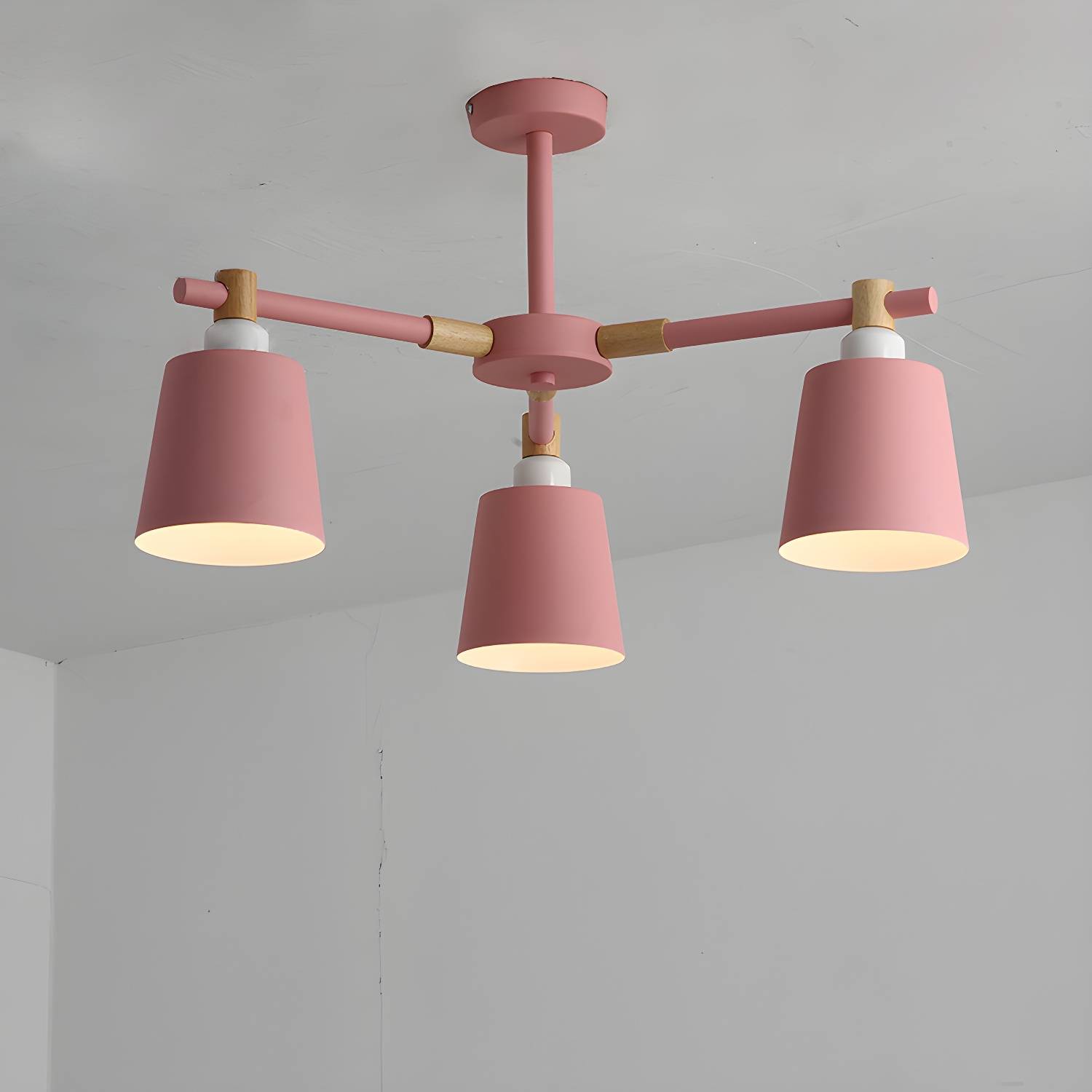 Imported image cb425497acd8 2307555.jpg