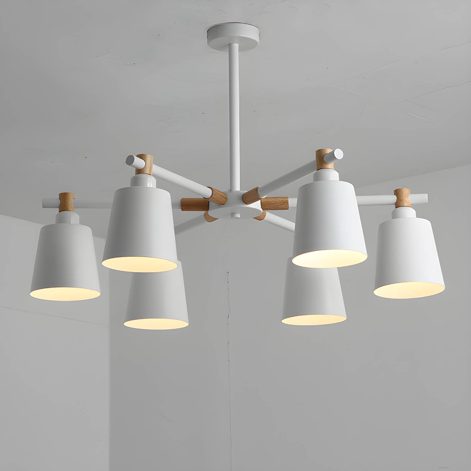 Imported image 98ee101cad38 2307559.jpg