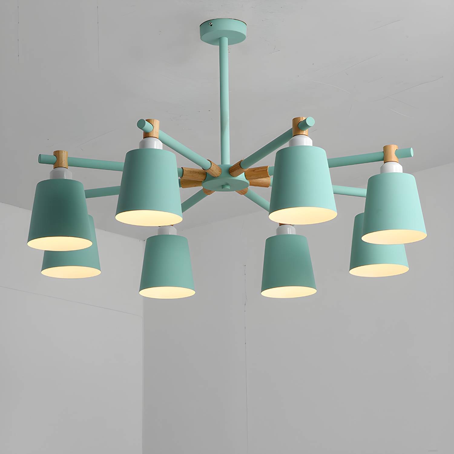 Imported image 4ce937f5e89f 2307567.jpg