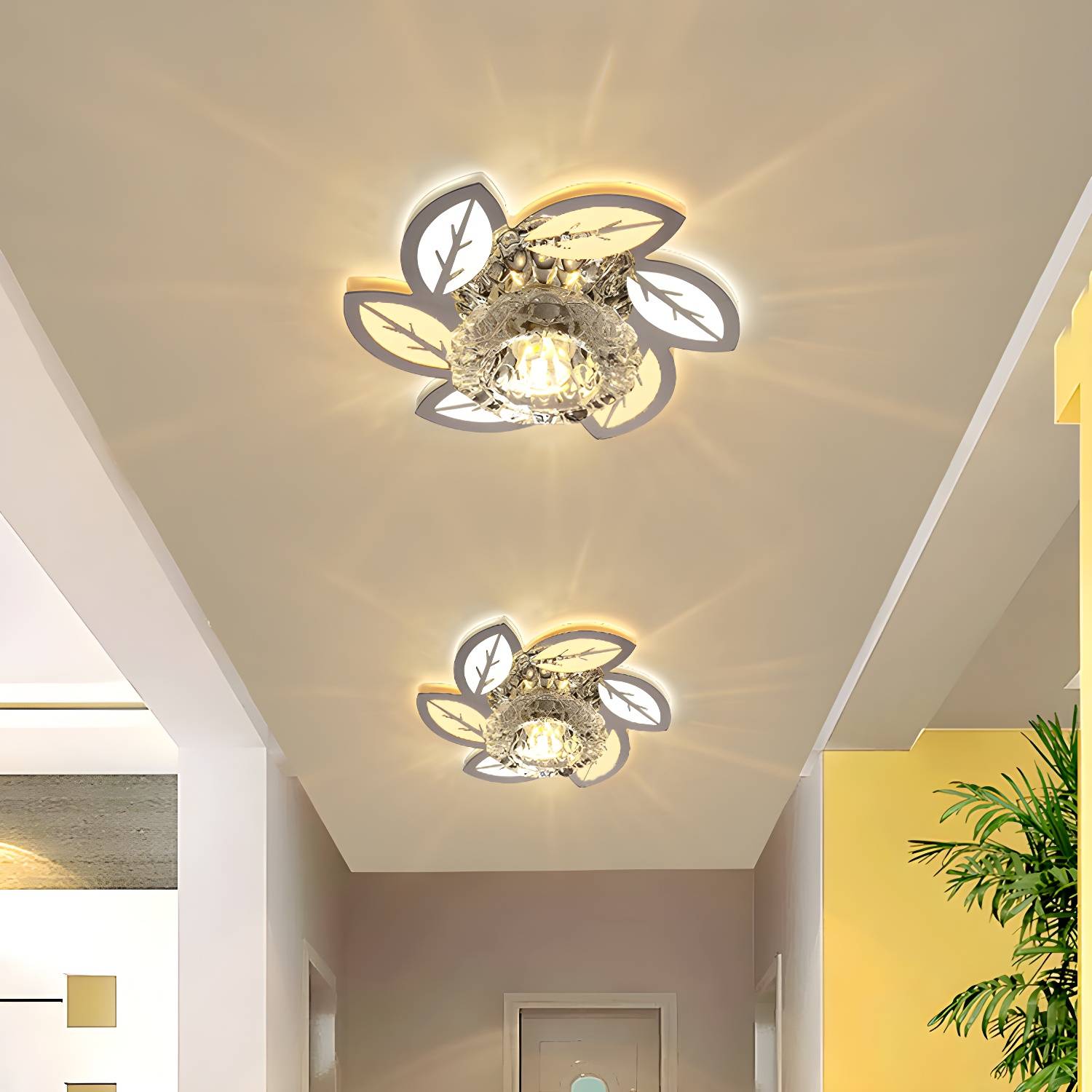 Imported image b0a1b1d951ff 2308083.jpg