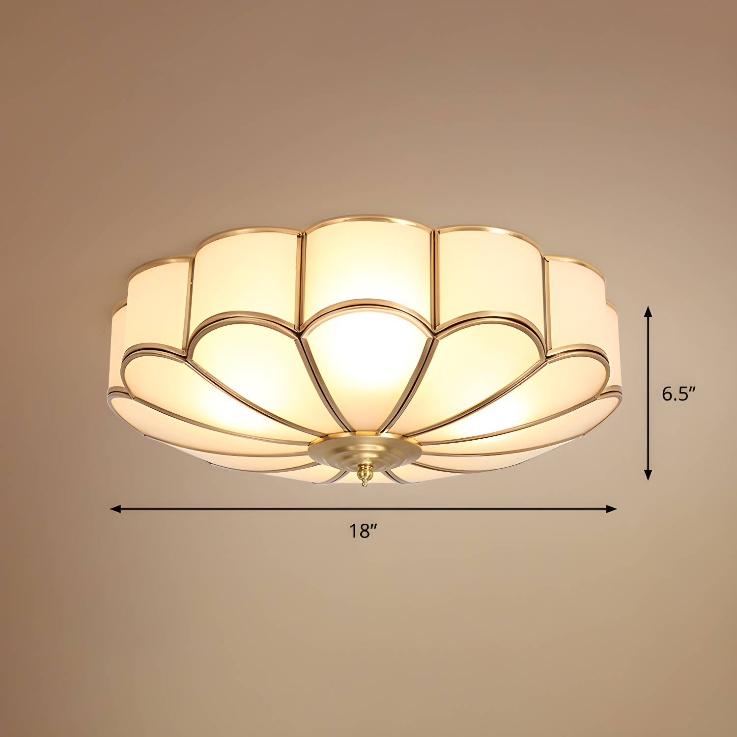 Imported image a678d61a496a 2311052.jpg