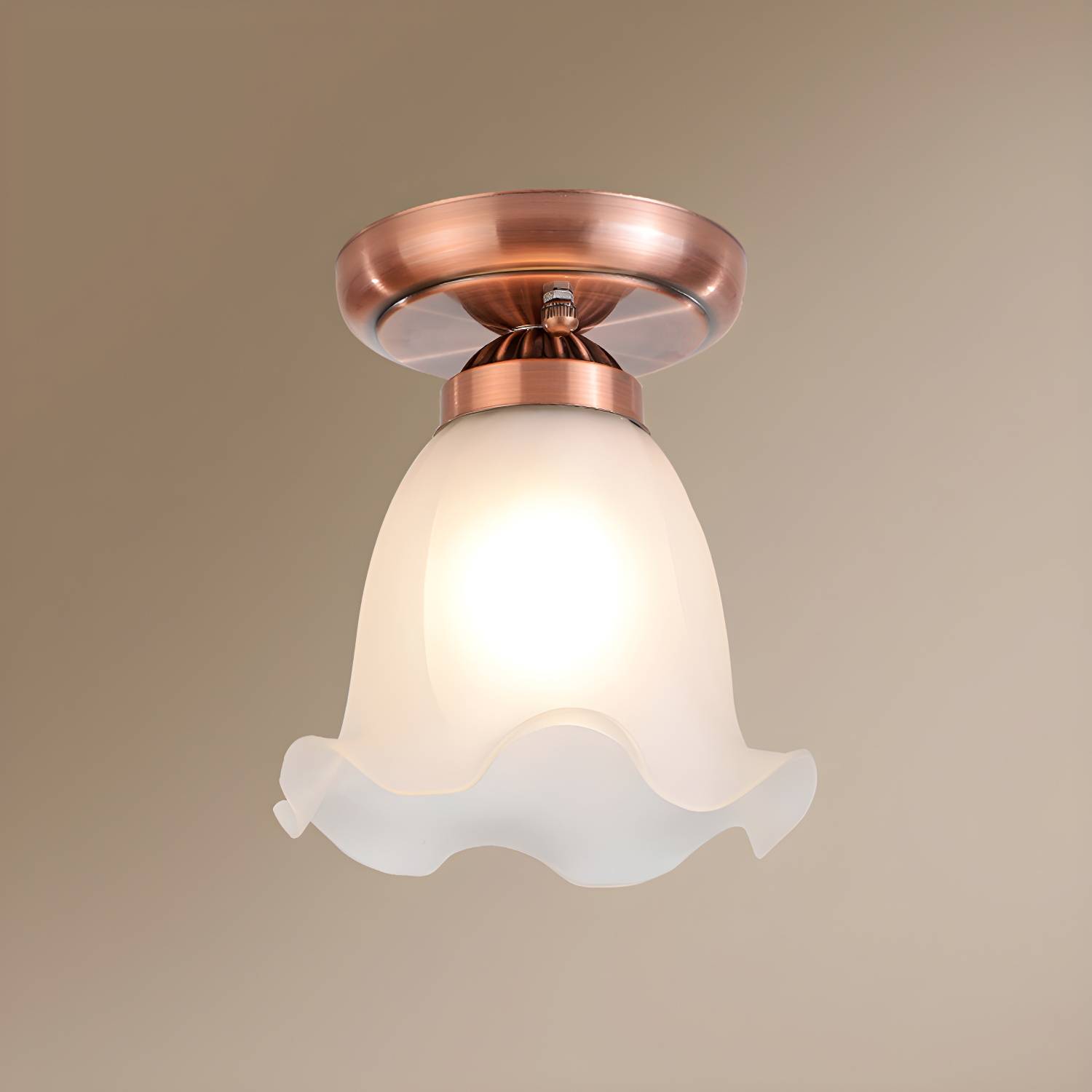 Imported image 83ba506a8c5c 2311595.jpg