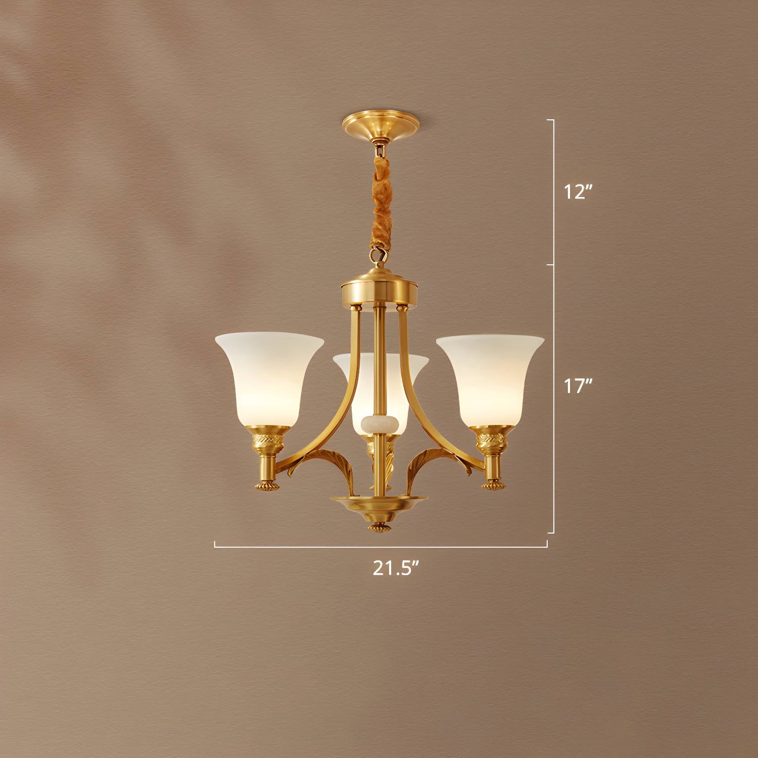 Imported image 529e758be3f2 2311704.jpg