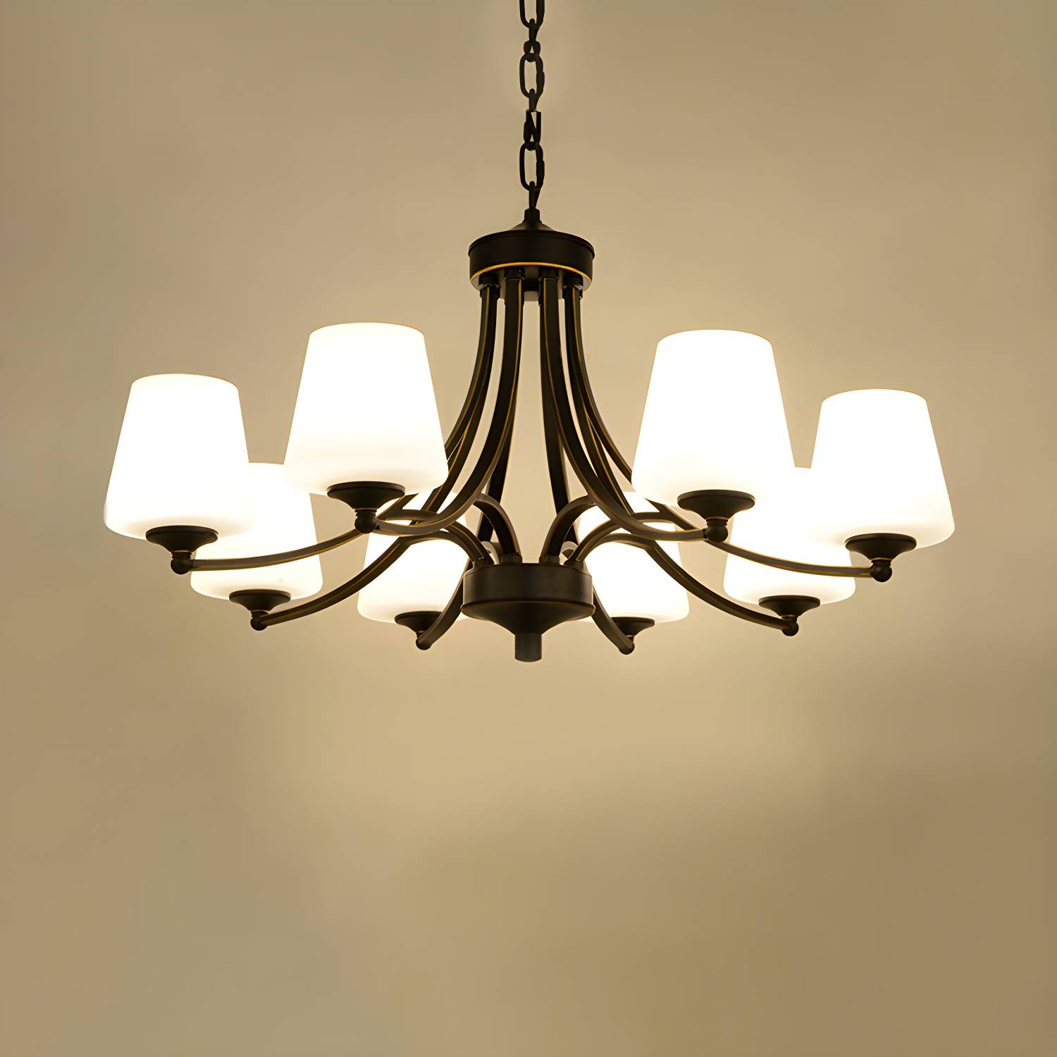 Imported image 5839b0c536df 2311799.jpg