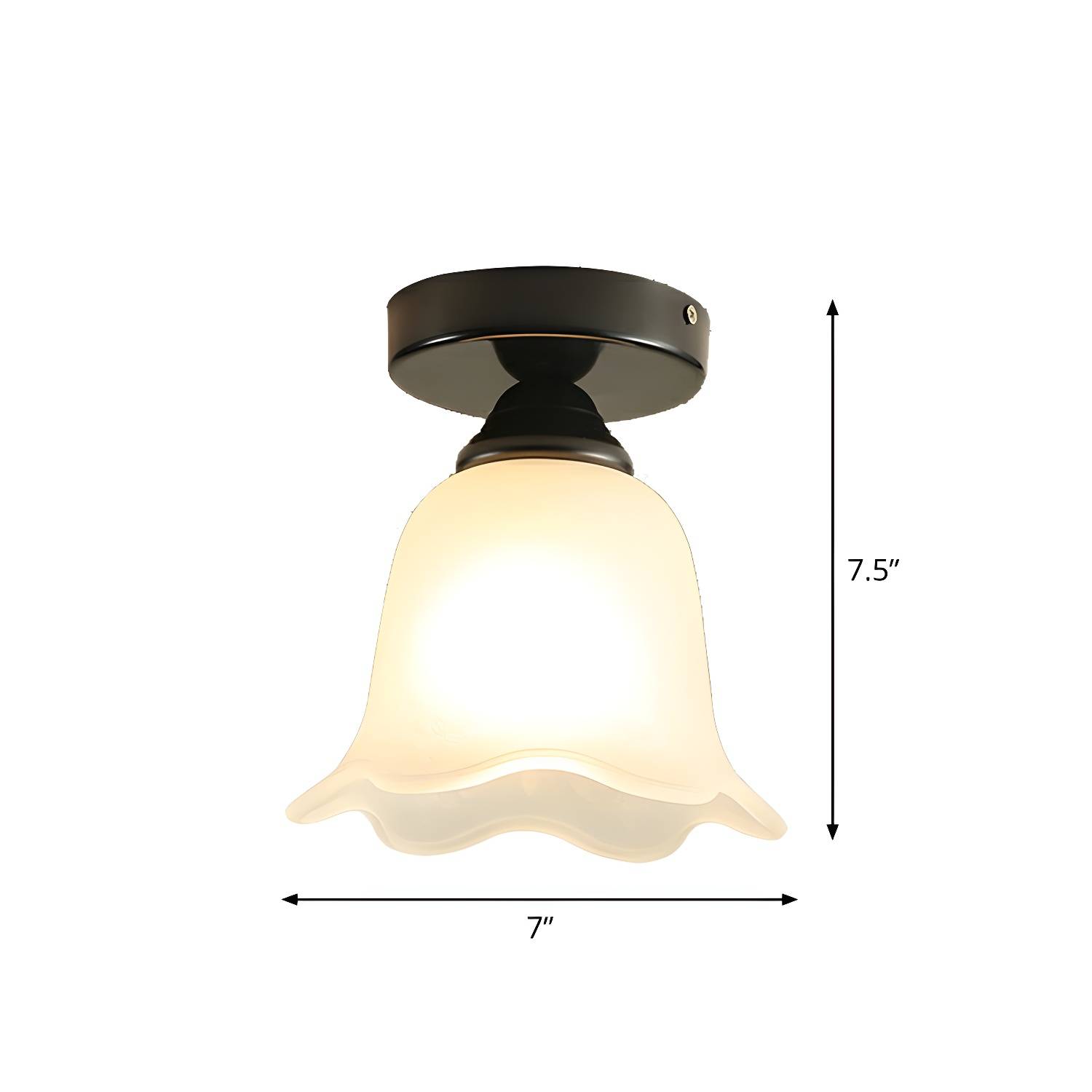 Imported image 4806ab7b6fef 2323391.jpg