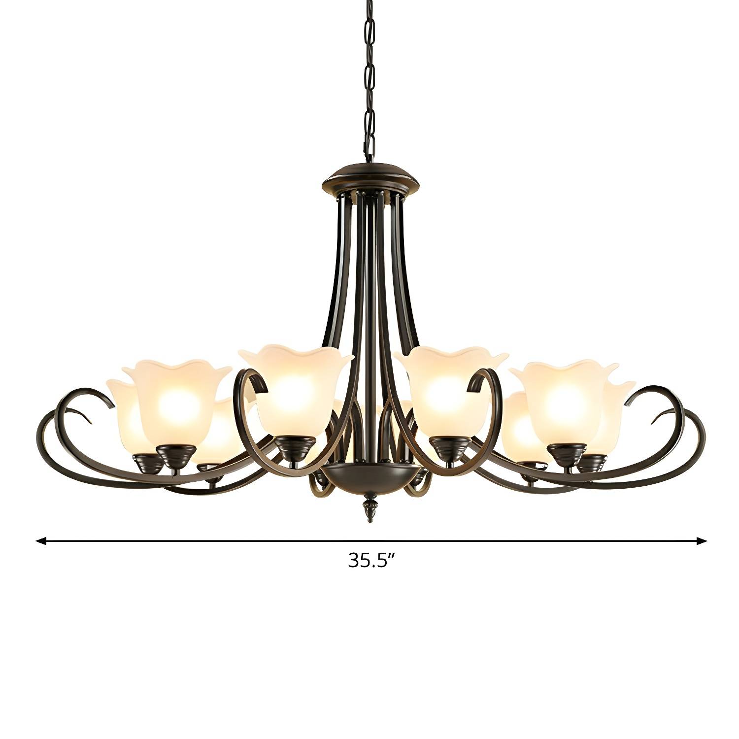 Imported image 1cf5f1003d40 2323574.jpg