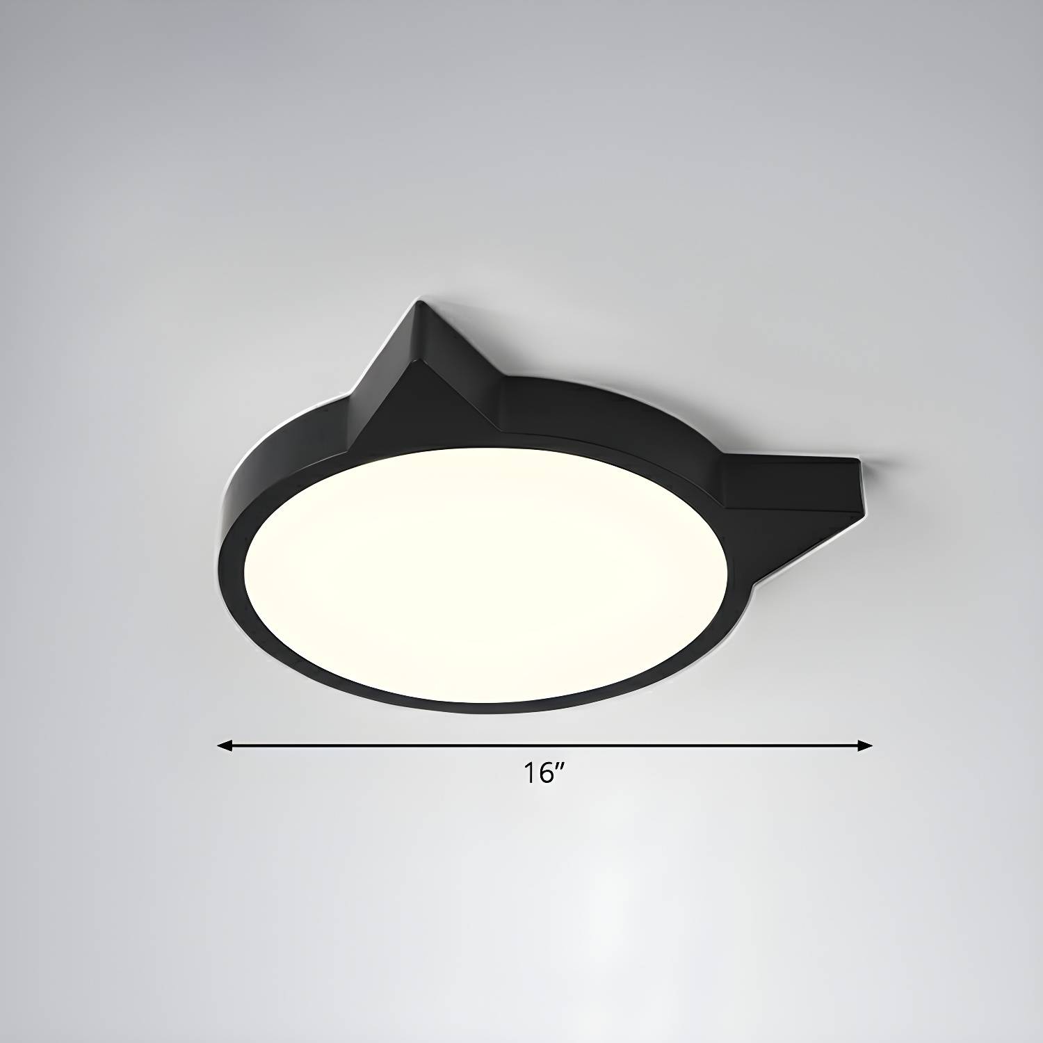 Imported image 72d19e988826 2326863.jpg