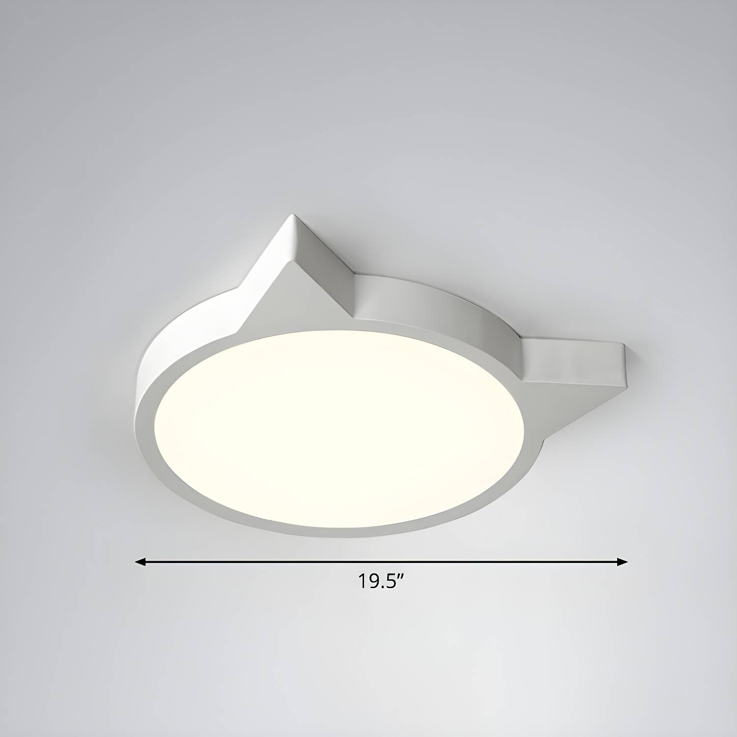 Imported image efcda18ee911 2326869.jpg