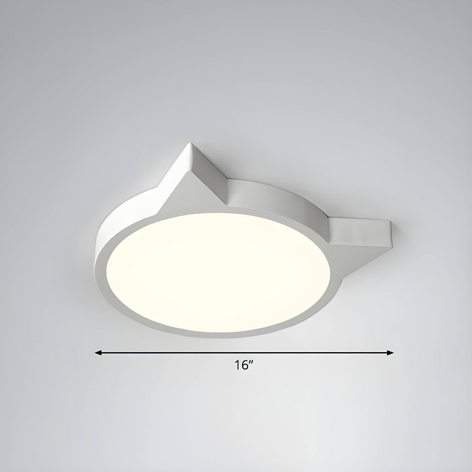 Imported image 07613410b3e6 2326872.jpg