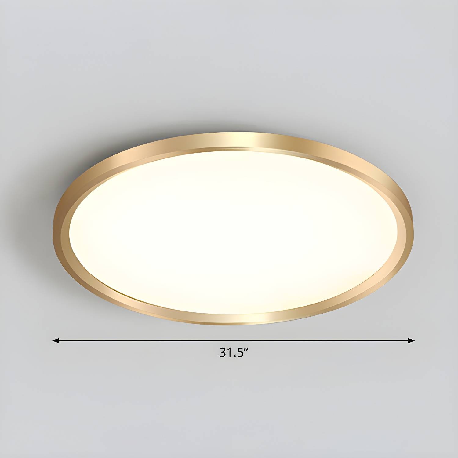 Imported image 47924999658d 2327118.jpg