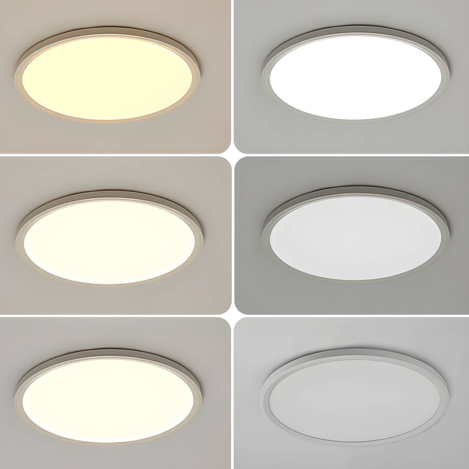 Imported image c81e74e59757 2327155.jpg