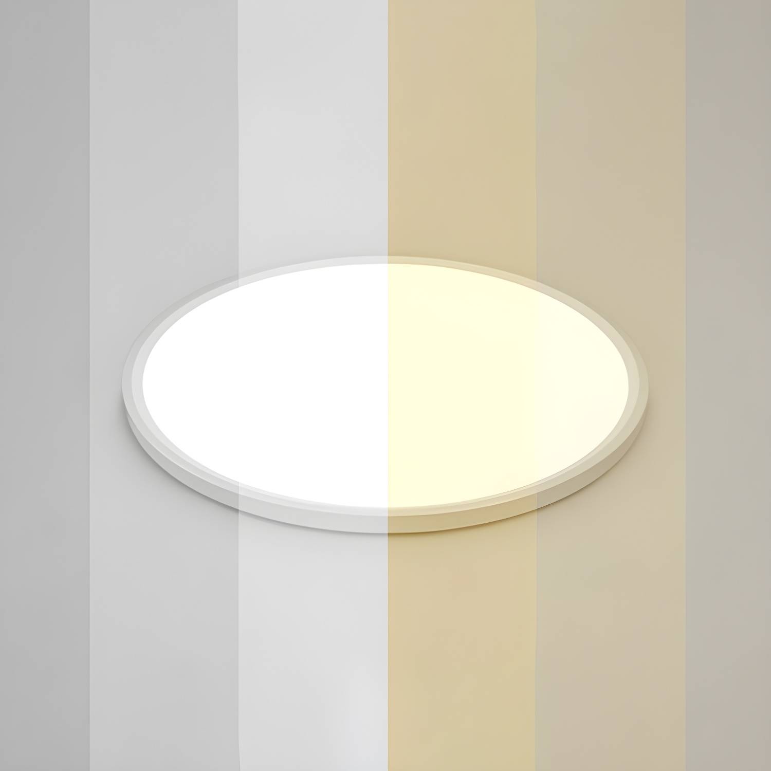 Imported image 640bbbc4e2c5 2327169.jpg