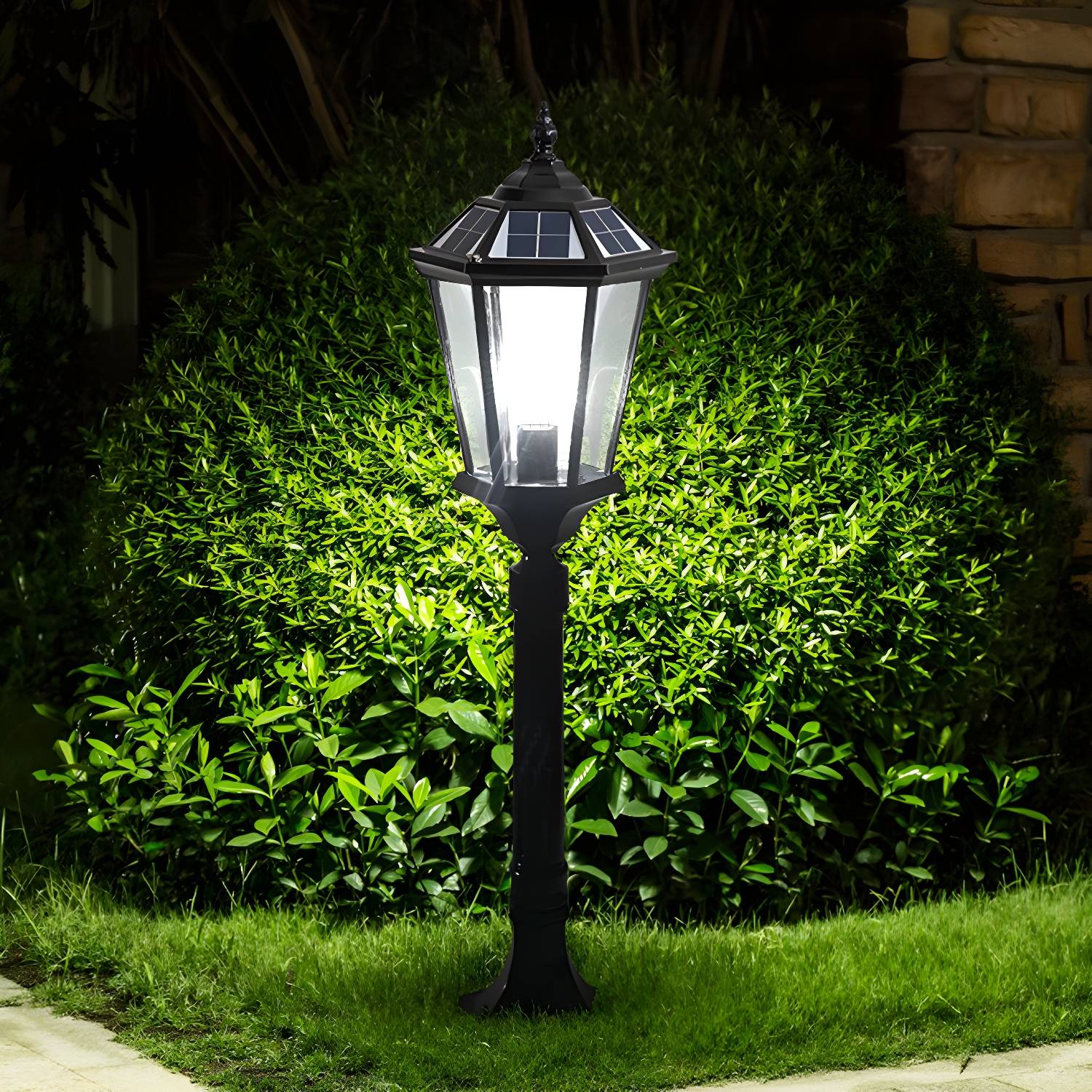 Imported image bbcfa4edf9ca 2364885.jpg