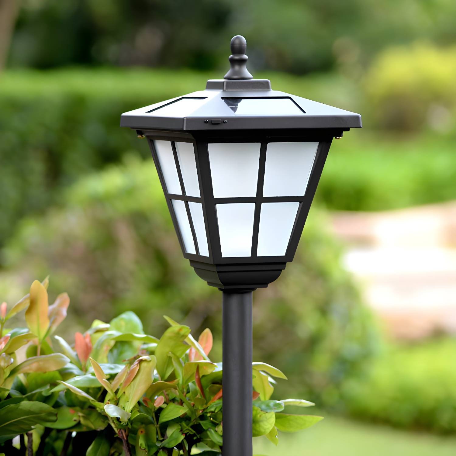 Imported image f3eaf3a685db 2364919.jpg