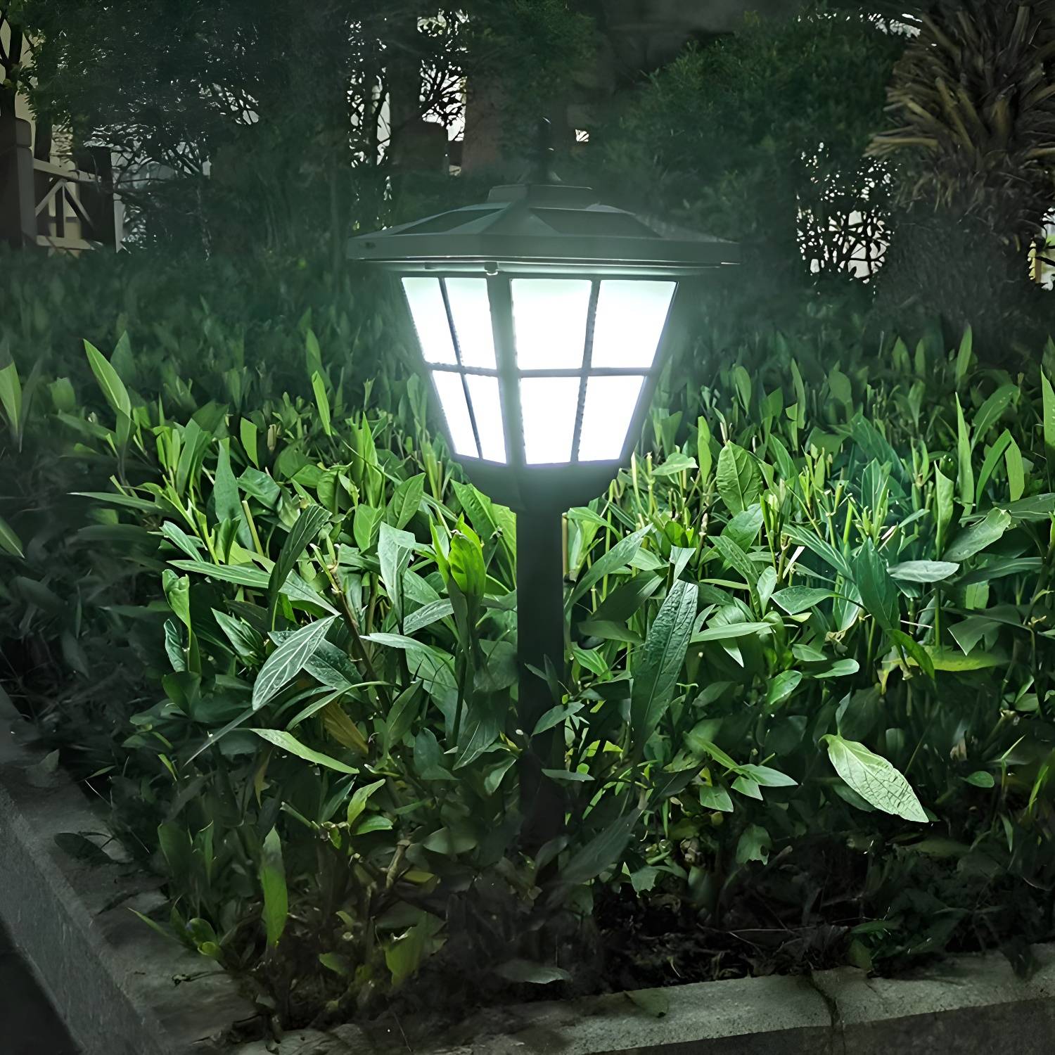 Imported image 57139a549e69 2364921.jpg