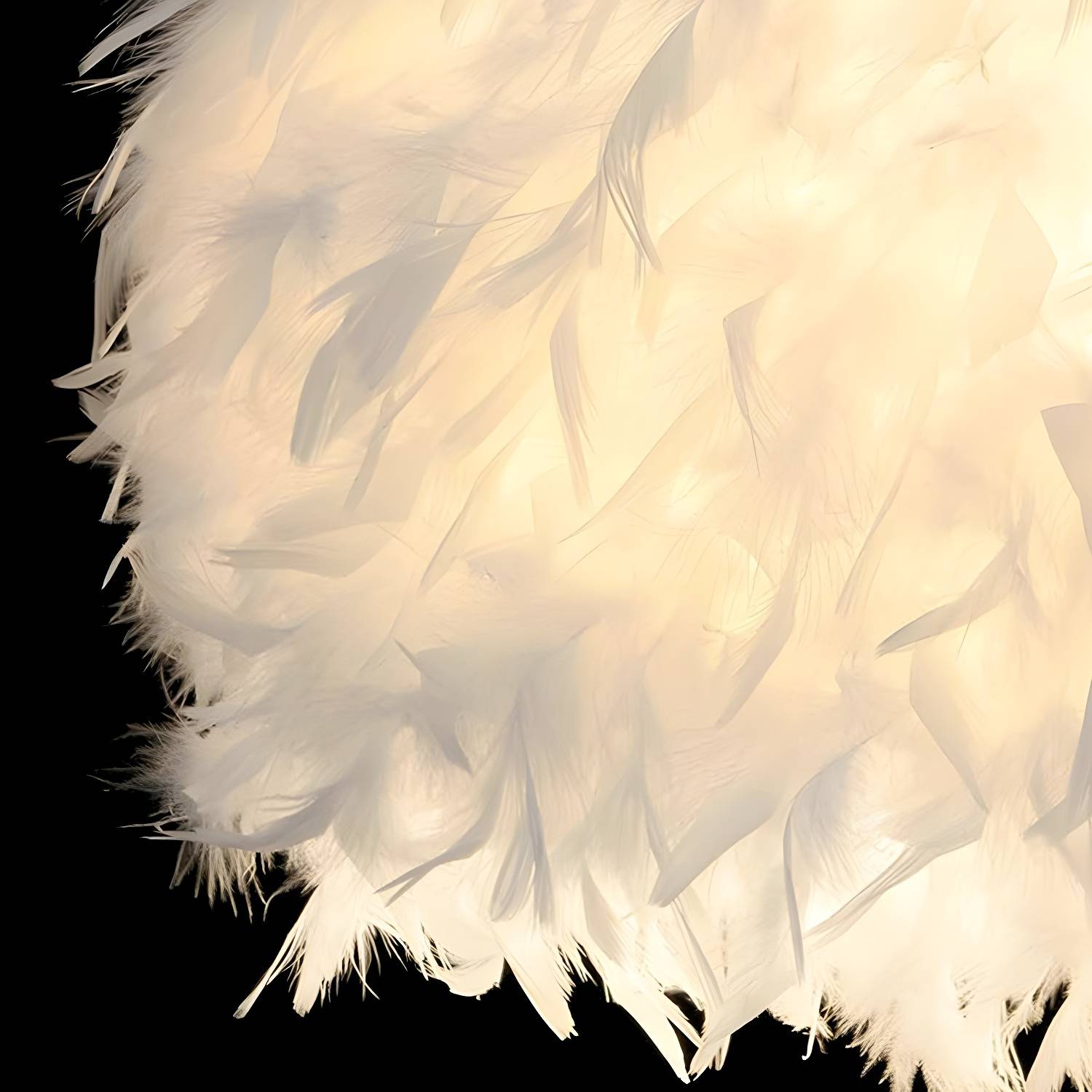 Imported image 7ebcf15b131c 2365057.jpg