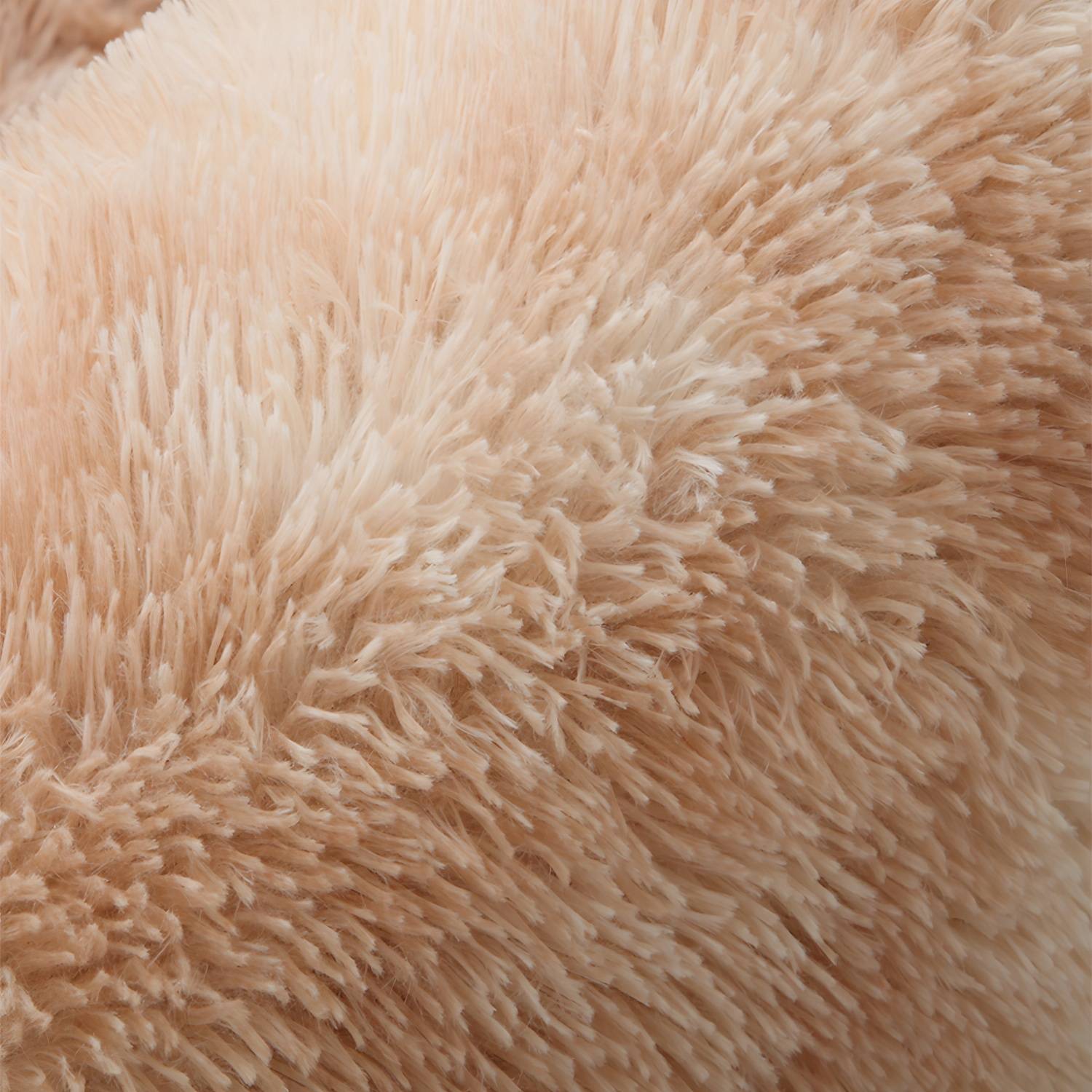 Imported image 9721e0c59b4b 2374337.jpg