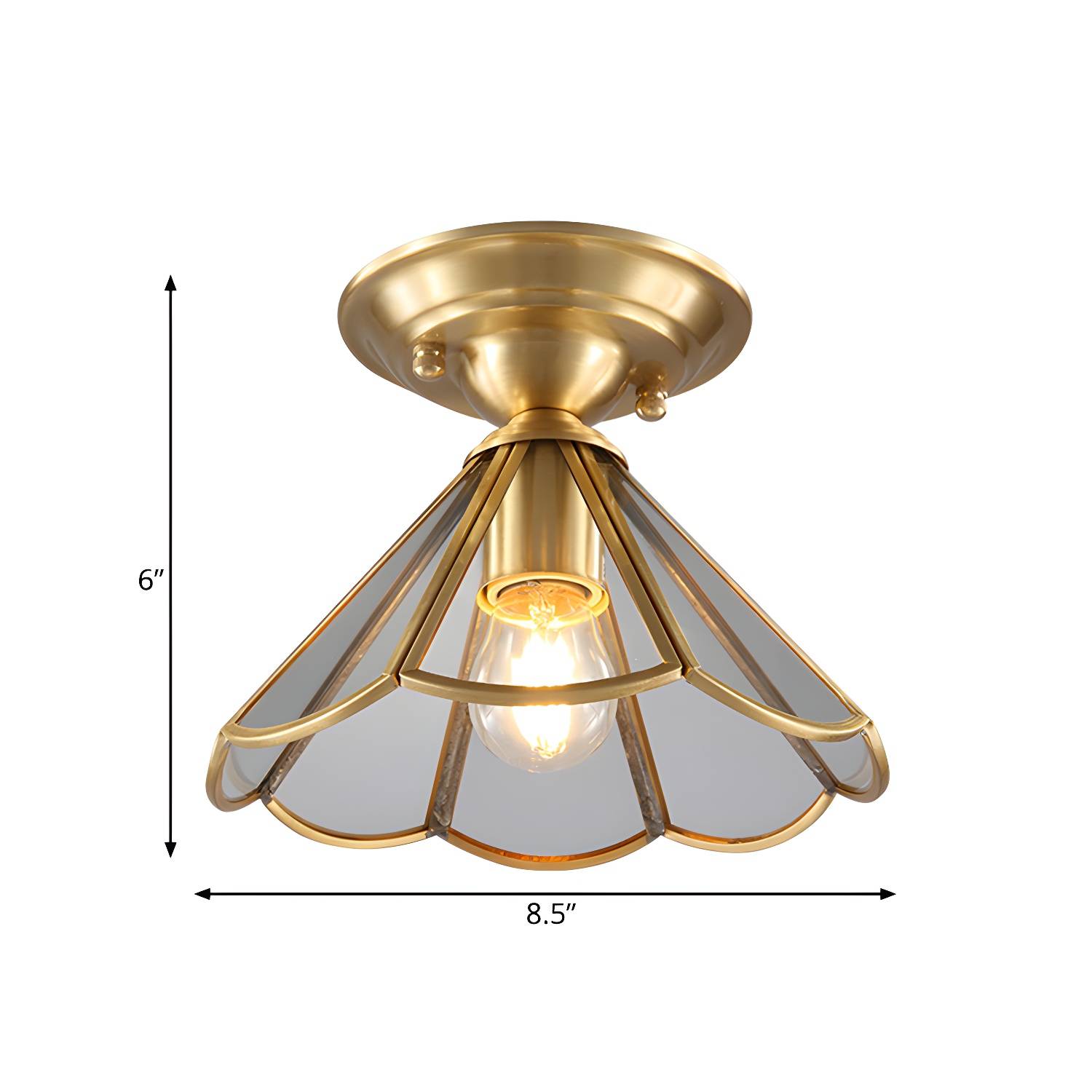 Imported image 1dc37d432321 237477.jpg