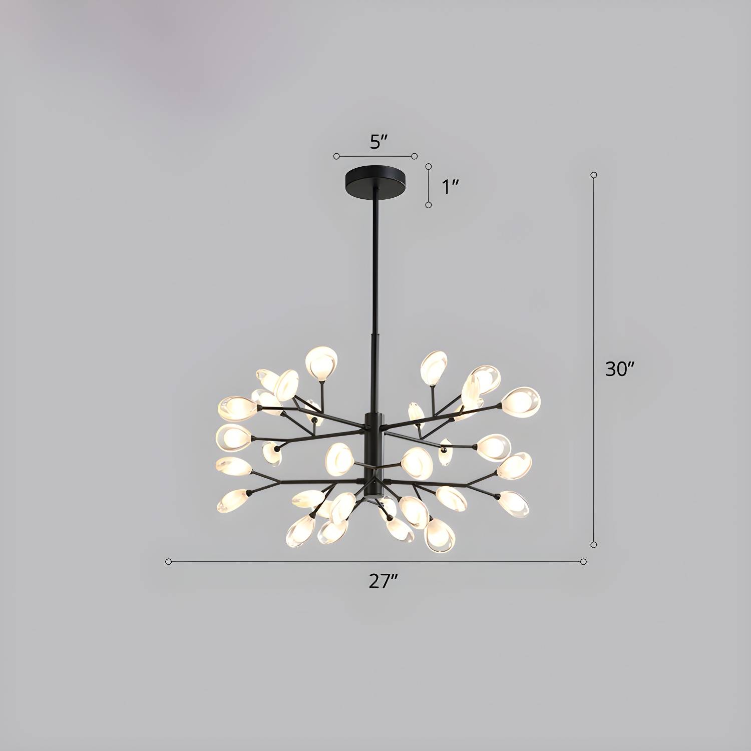 Imported image 42ec23ac2956 2389093.jpg