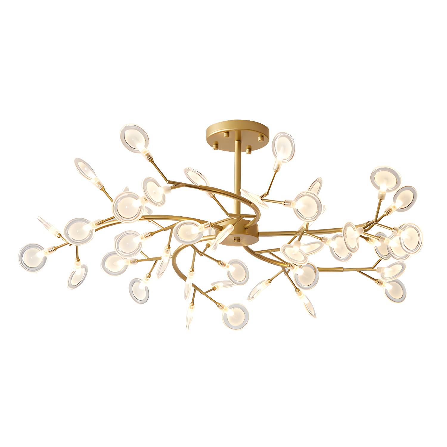 Imported image 50e4bd468a05 2389942.jpg