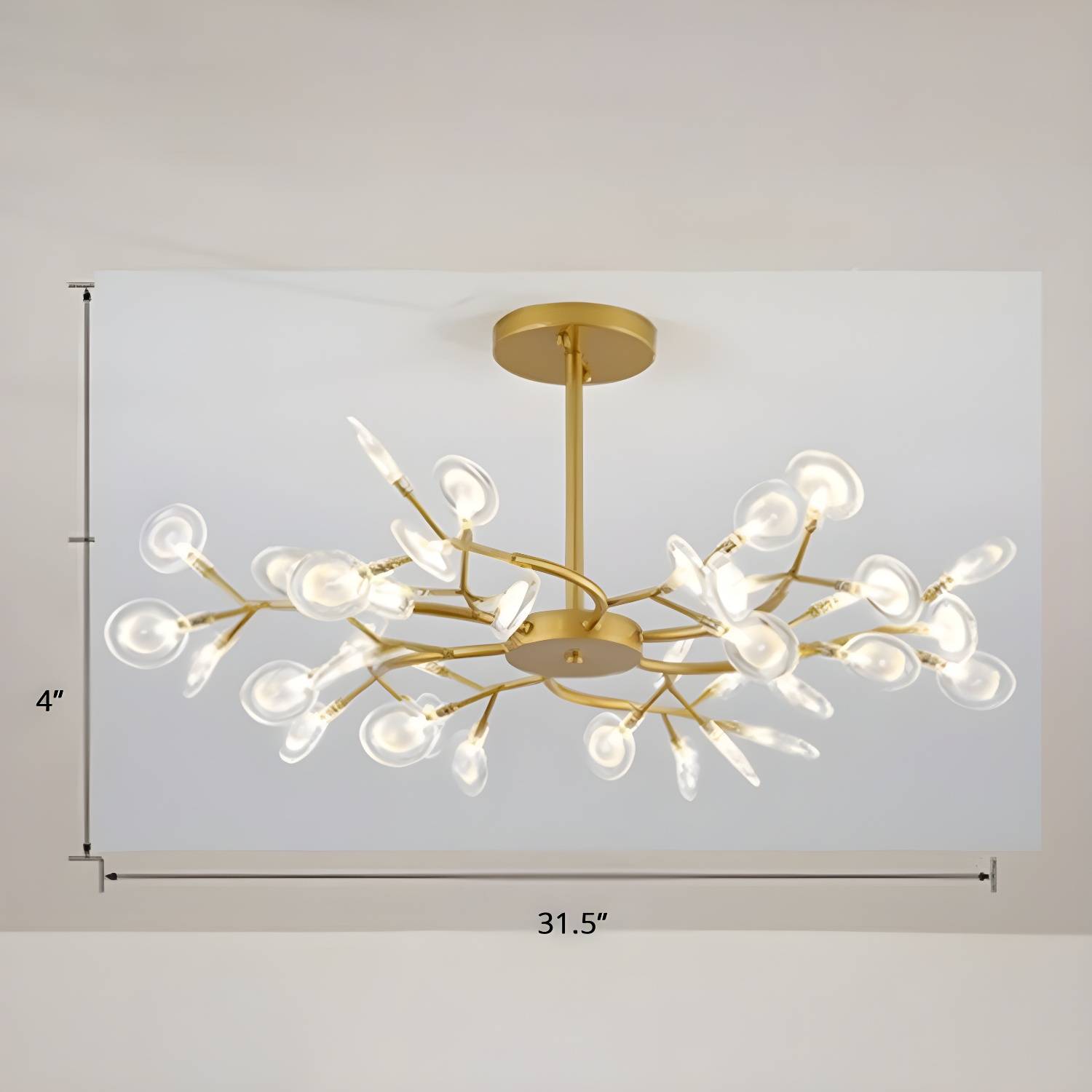 Imported image 394f817a0321 2389946.jpg
