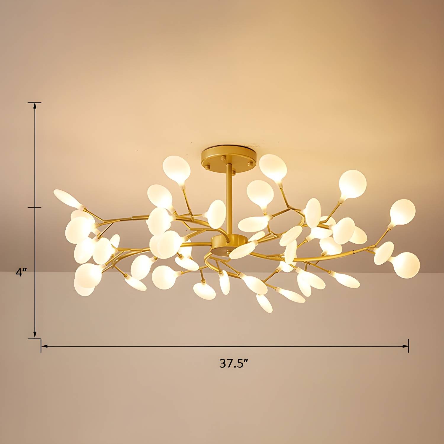 Imported image 577b219bd03b 2389948.jpg