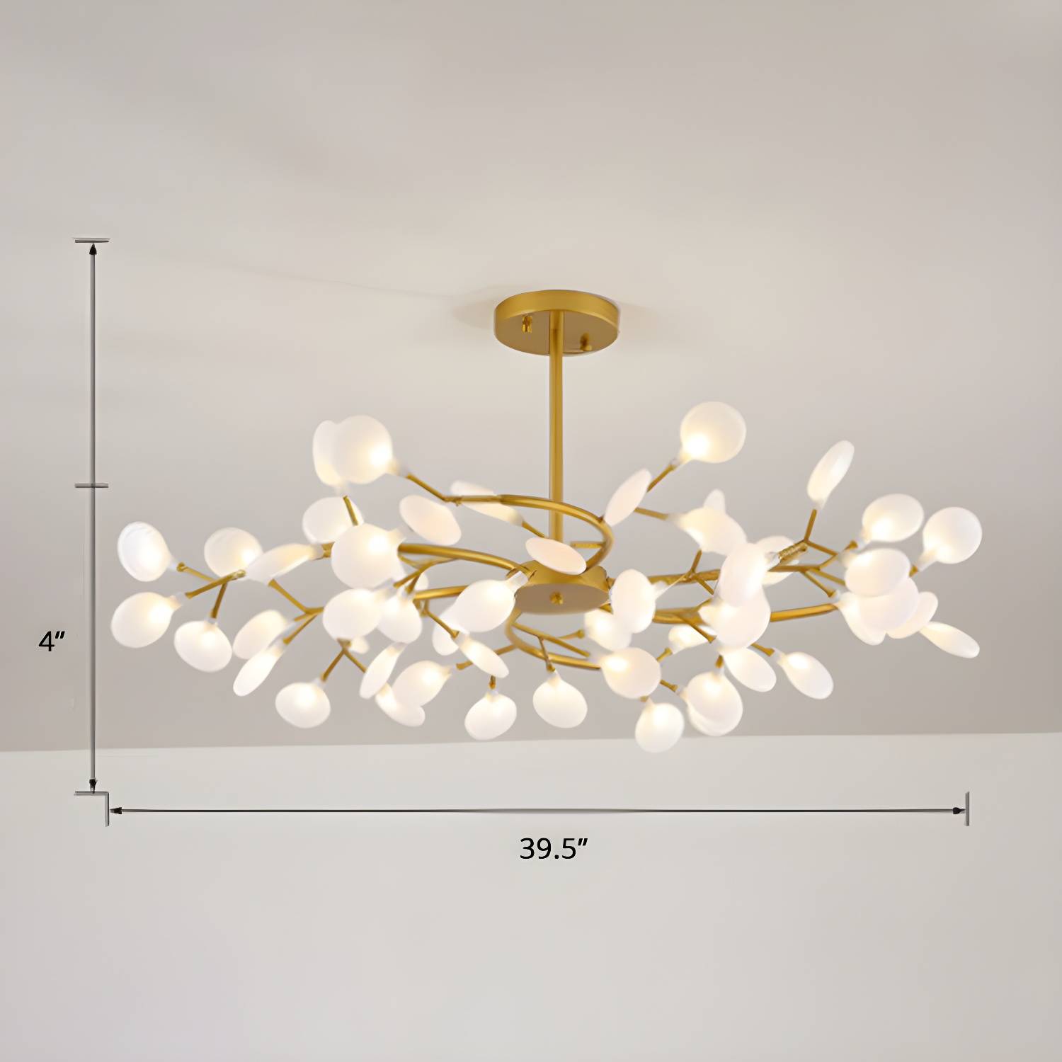 Imported image 31ae7fd69ef6 2389951.jpg