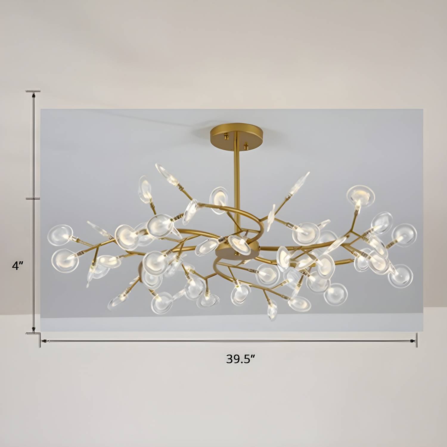 Imported image 12d69ce7c46f 2389952.jpg