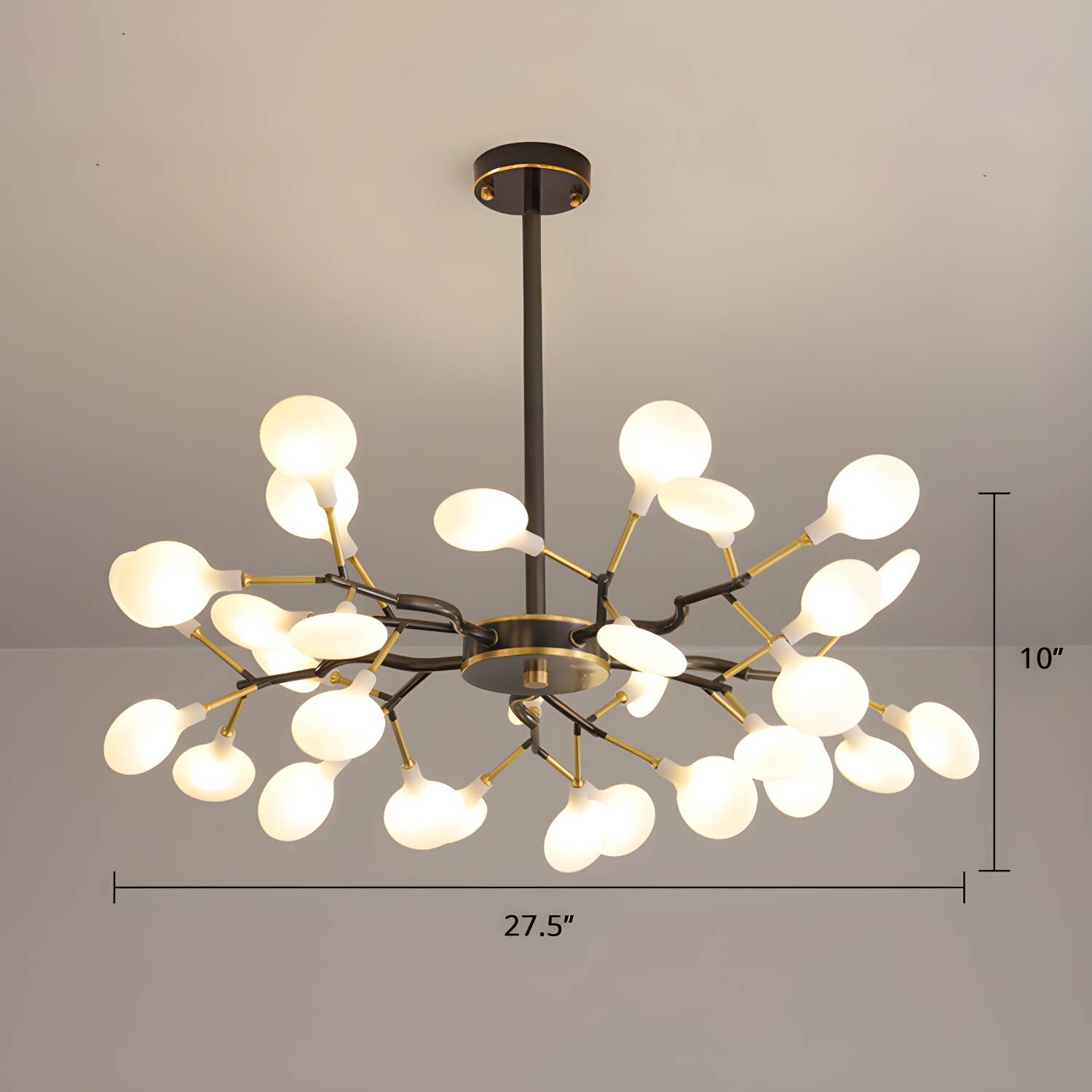 Imported image 2e3f7004b16b 2389962.jpg