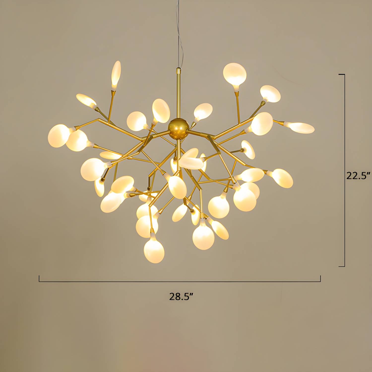 Imported image 170fd08f5997 2389978.jpg