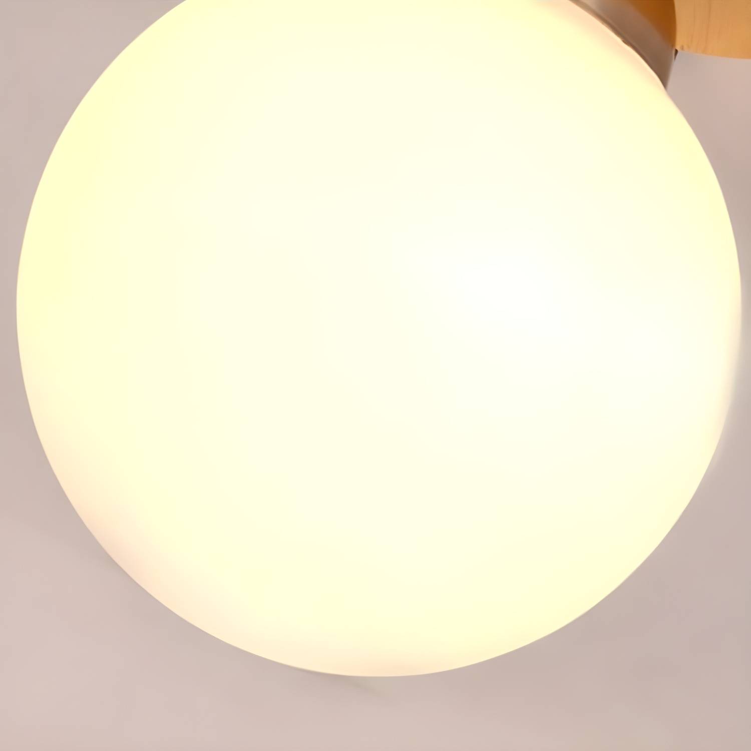 Imported image b0be49efc28b 2390357.jpg