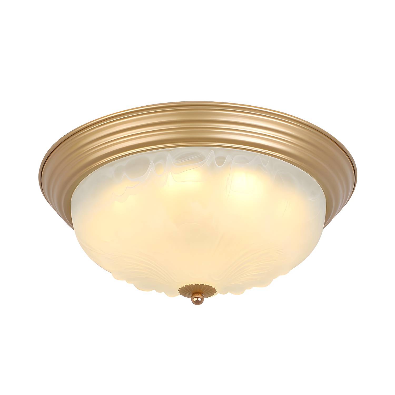 Imported image 6d8077188e63 2405538.jpg