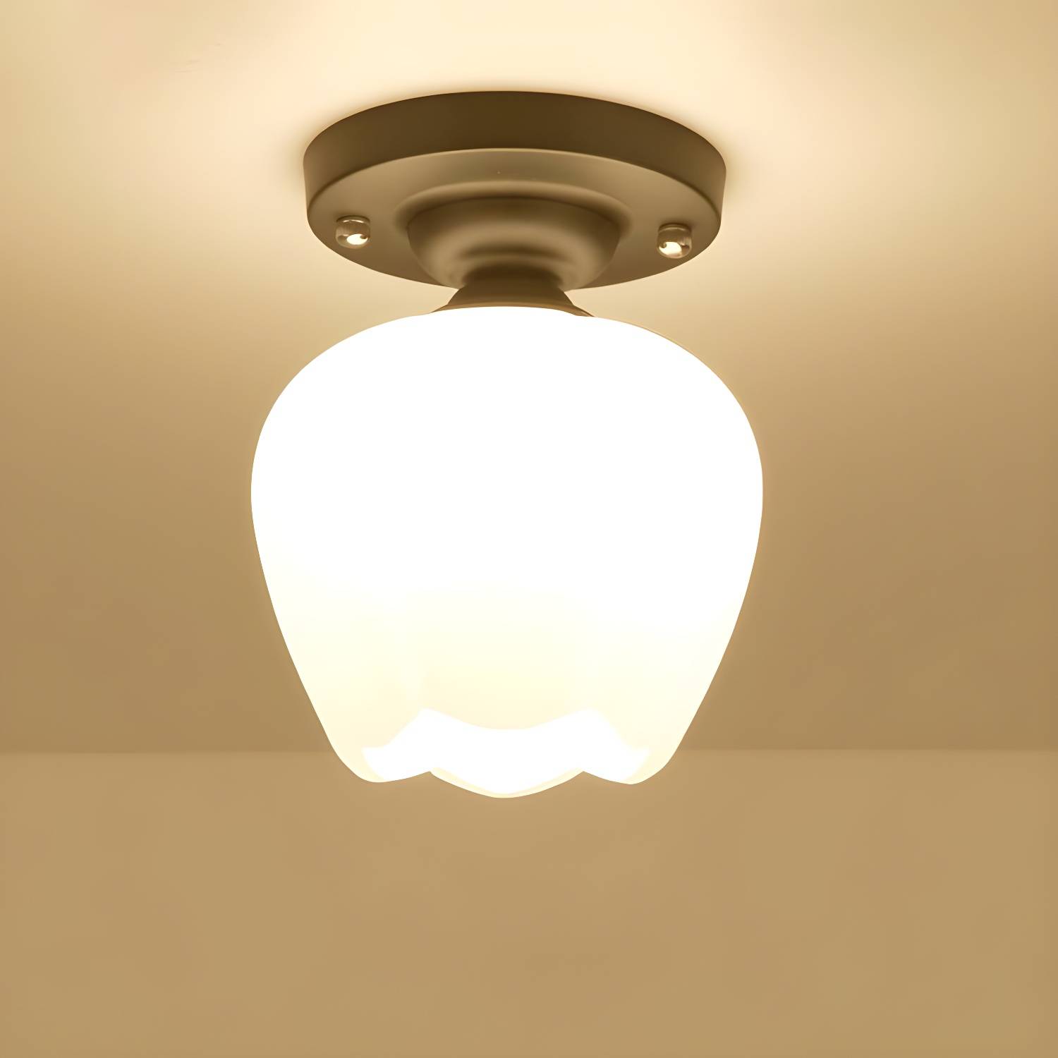 Imported image 6cc1a2156ba1 2405545.jpg