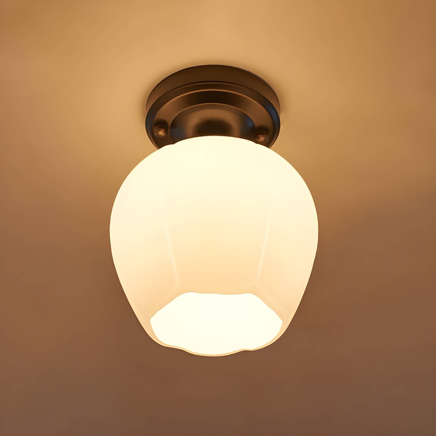 Imported image 5ce8f93fe62d 2405546.jpg