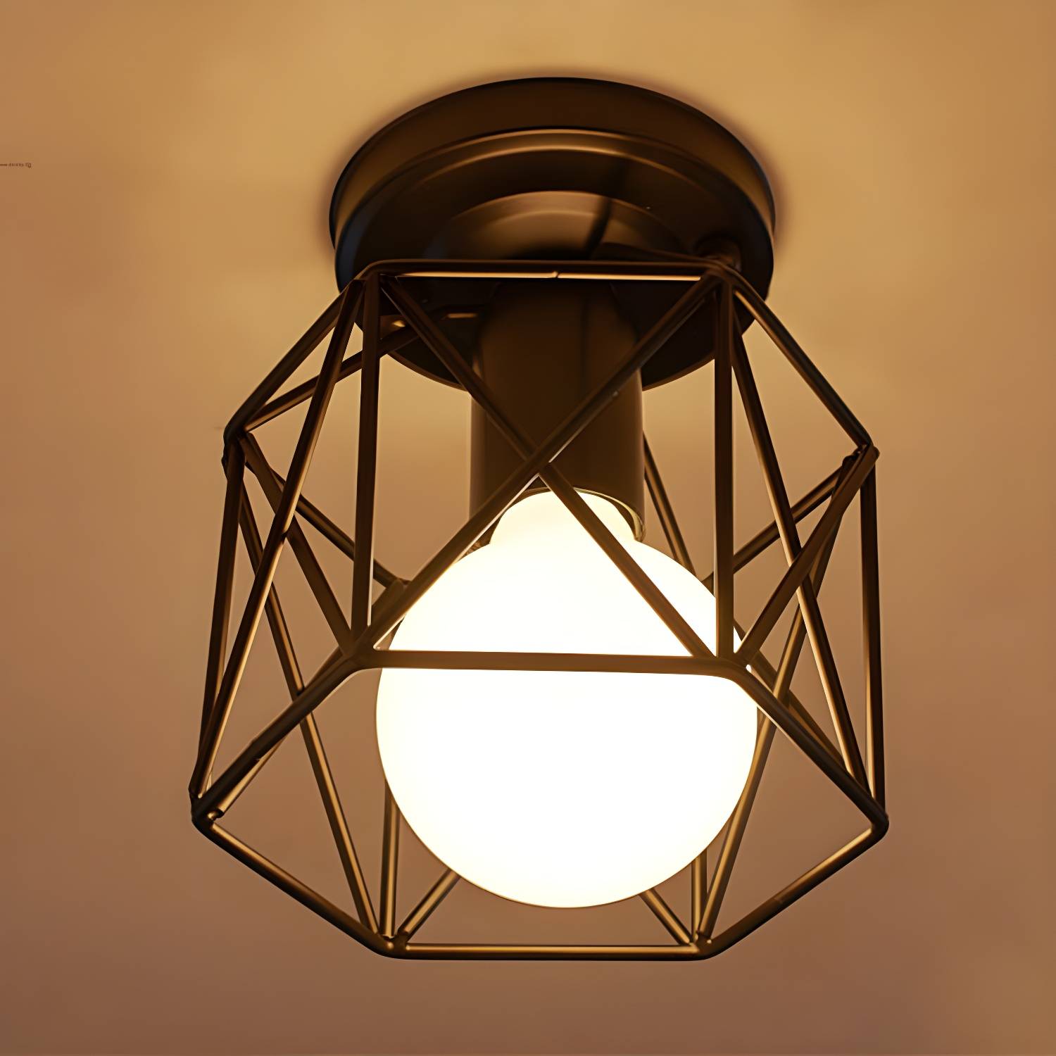 Imported image d0ee345d6d36 2405550.jpg