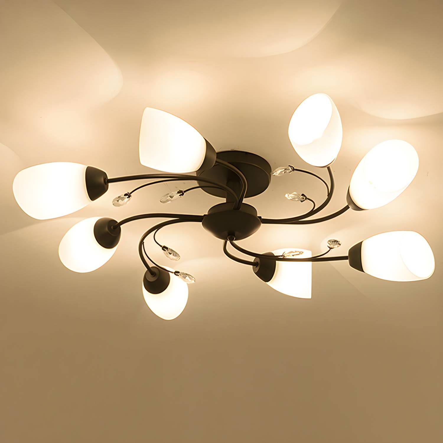 Imported image 75b13b20ffdd 2405566.jpg