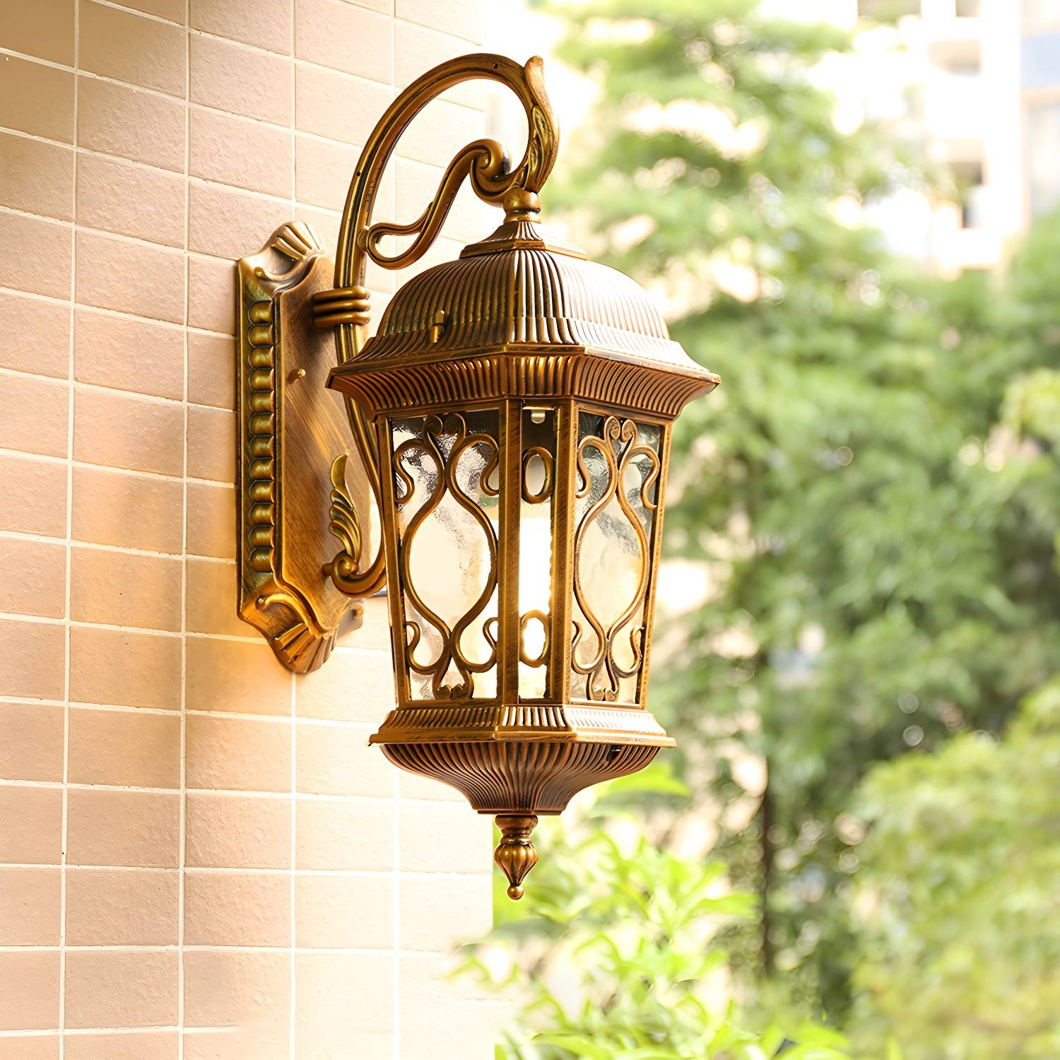 Imported image 98133a59d4b0 2408349.jpg