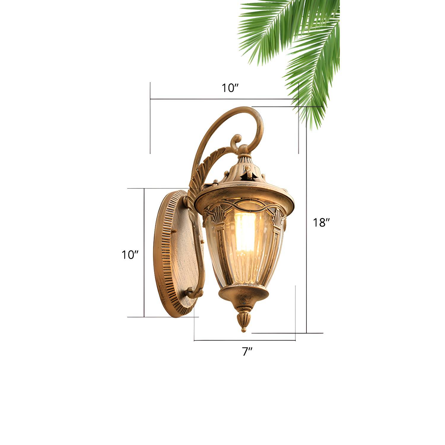 Imported image c04736ff32d6 2408392.jpg