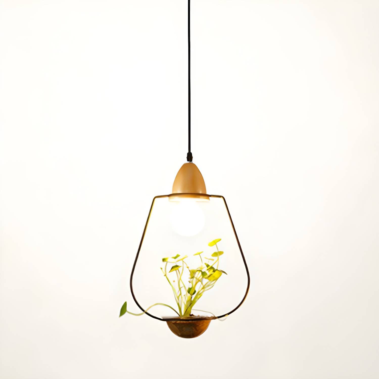 Imported image c2115c9fe3c9 2408584.jpg