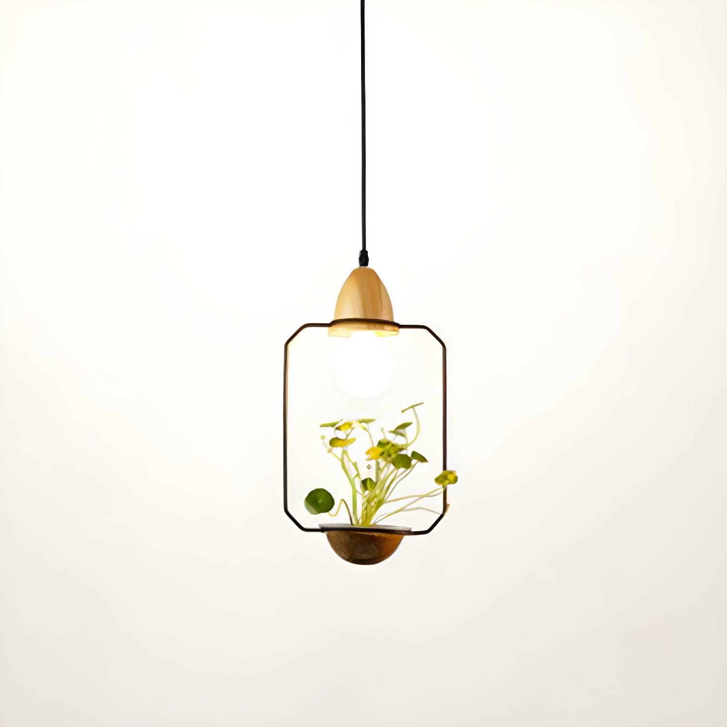 Imported image 4125a9d17f2a 2408588.jpg