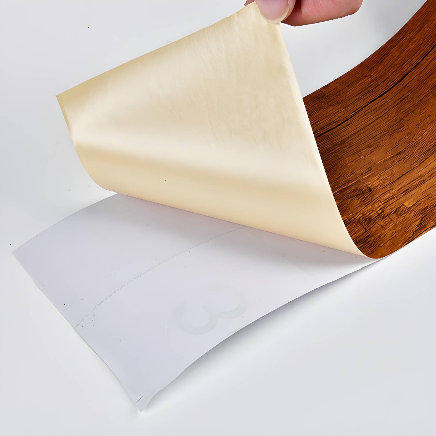 Imported image 6562b0422019 2413551.jpg
