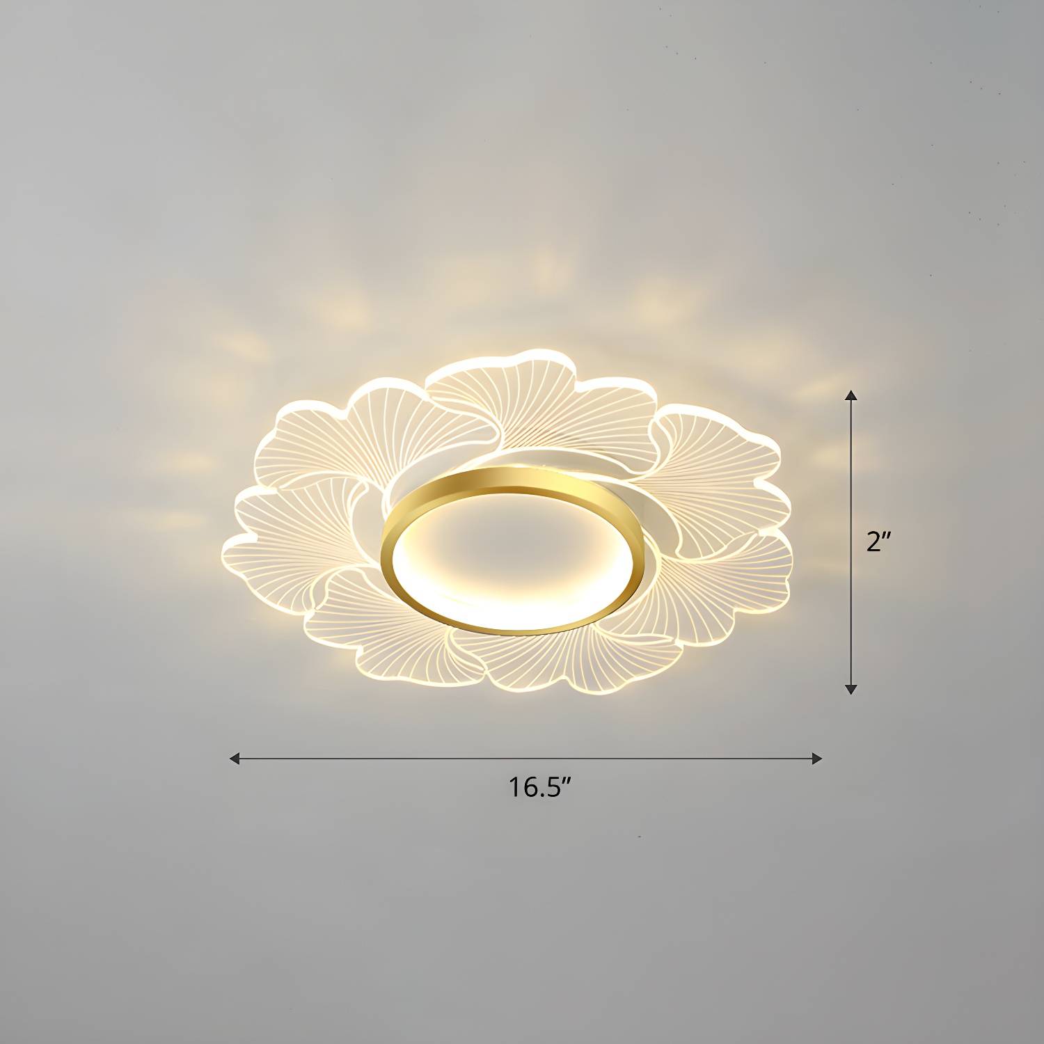 Imported image 3e75c5a735ba 2422677.jpg