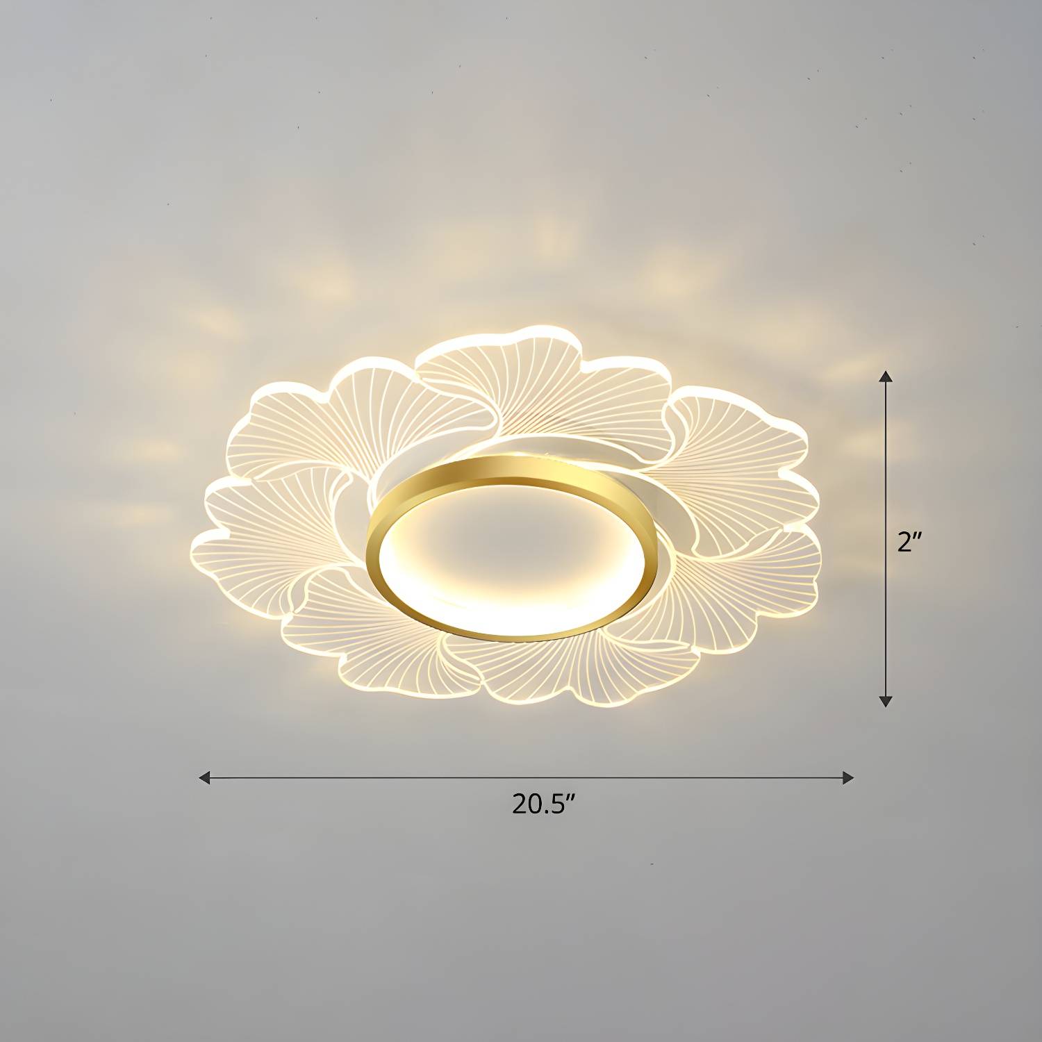 Imported image 337e34b4a8f9 2422679.jpg